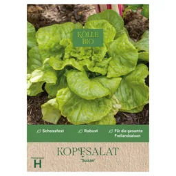 Kölle Bio Kölle Bio Gemüsesamen, Kopfsalat 'Suzan' – Produktbild 1 von 1