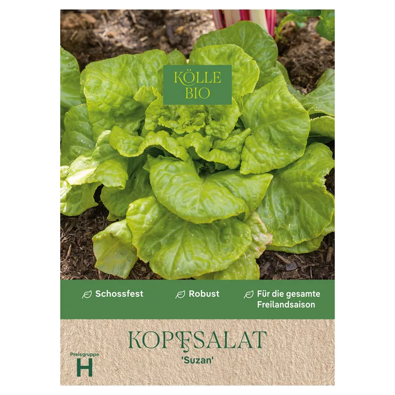 Kölle Bio Kölle Bio Gemüsesamen, Kopfsalat 'Suzan', Grün, – Produktbild 1 von 1
