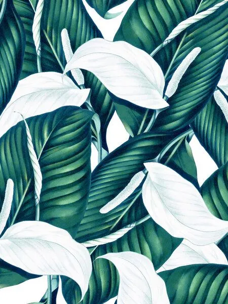 Photocircle Photocircle Poster / Leinwandbild - Tropical Winter – Produktbild 1 von 4