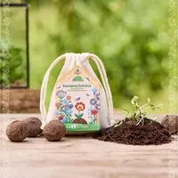 Die Stadtgärtner Die Stadtgärtner Bienenschmaus I Blumen für Bienen I Samenbomben mit Saatgut für Bienen I Seedbombs I Geschenk für den Garten – Produktbild 1 von 1