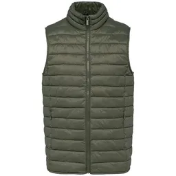 Greenspired Greenspired Leichter umweltfreundlicher Bodywarmer 250 g/m² S - 4 XL – Produktbild 1 von 1