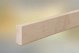 woodstore24 Sockelleisten Ahorn für Parkett und Massivholzdielen, 40 x 16 mm, Oberkante gerade, klar lackiert, fallende Längen 100 - 290 cm – Produktbild 1 von 1