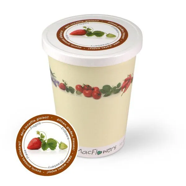 MacFlowers MacFlowers Blumen im Becher TO GROW, Erdbeere, – Produktbild 1 von 3