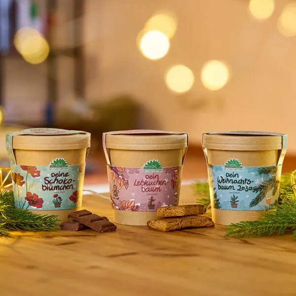 Die Stadtgärtner Die Stadtgärtner Set - 3 Weihnachtliche Anzuchtsets – Produktbild 1 von 4