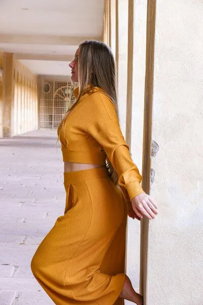 Vivien Joy Vivien Joy Kurzer Rollkragenpullover - Aila Crop Pulli, Amber (gelb), – Produktbild 4 von 4