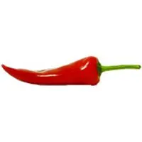 Deutschland Spitzpaprika, rot – Produktbild 1 von 1