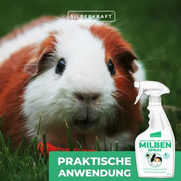 Silberkraft Silberkraft Milbenspray Meerschweinchen, Kaninchen & Kleintiere 500 ml – Produktbild 4 von 4
