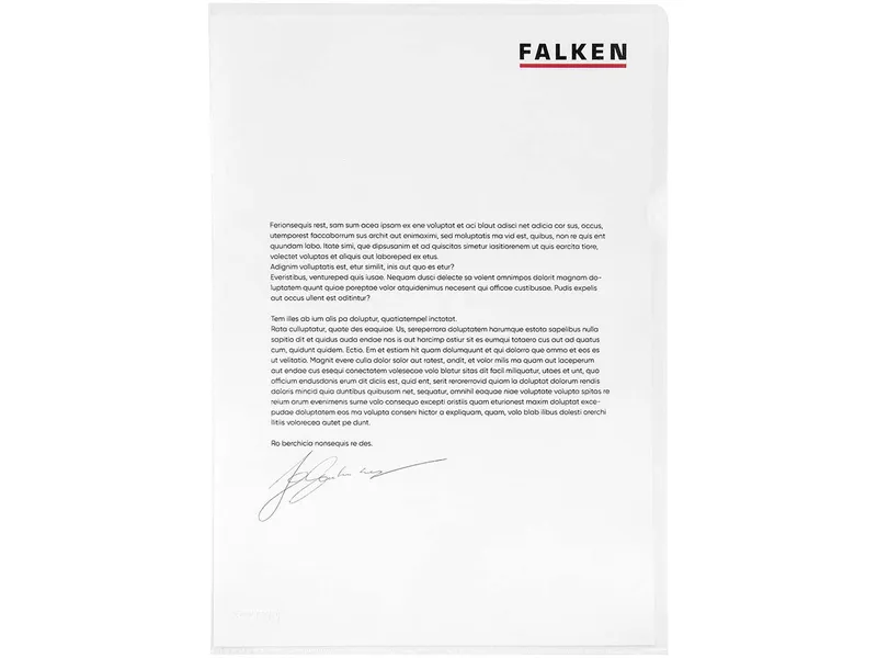 Falken FALKEN Aktensichthüllen genarbt, DIN A4, 120µ, 100 Stk. – Produktbild 1 von 1
