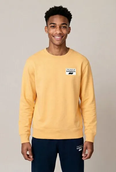 THE FACE OF ELEMENTS The Face of Elements Color Rush - Regular Fit Sweatshirt aus 100% Bio-Baumwolle, Easy amber (gelb), – Produktbild 3 von 4