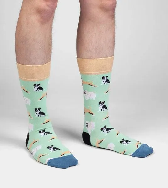 DillySocks DillySocks Socken Dog Squad aus Biobaumwoll-Mix, Mehrfarbig, – Produktbild 4 von 4