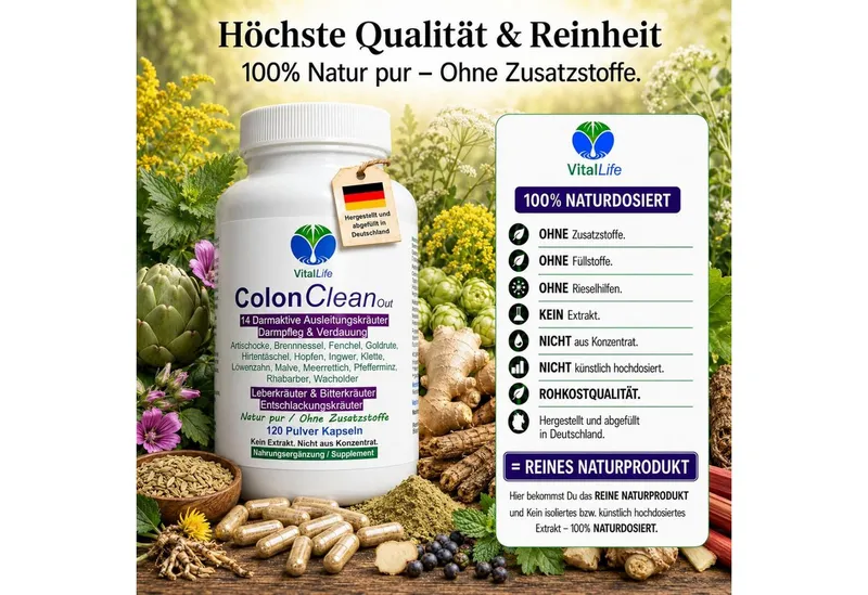 VitalLife Colon CleanOut 14 Kräuter + Bitterstoffe Komplex - Ohne Zusatzstoffe - Kapseln, 1 er Dose à 120 St., 49,8 g, Art. 26540-120 – Produktbild 3 von 5