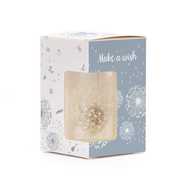 Die Stadtgärtner Die Stadtgärtner Wunscherfüller – Geld kreativ verpacken I Geschenkidee für Mama, Frau, Freundin zu Weihnachten und Geburtstag, Blau, – Produktbild 1 von 4