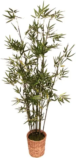Kunstpflanze Bambus Bambus, I.GE.A., Höhe 150 cm – Produktbild 1 von 1