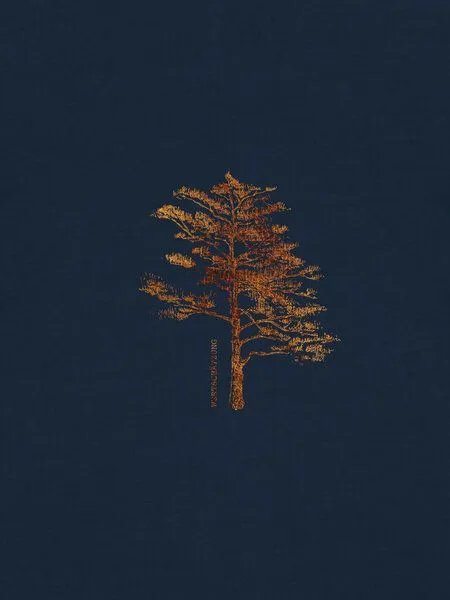 Kultgut Kultgut Artdesign - Biofair - Klassik Shirt / Wertschätzung Tree, Darkblue, – Produktbild 3 von 4