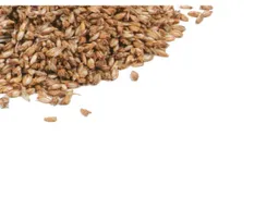 mudis mudis Kissenfüllung mit Dinkelspelz 40 x 60 cm – Produktbild 1 von 1