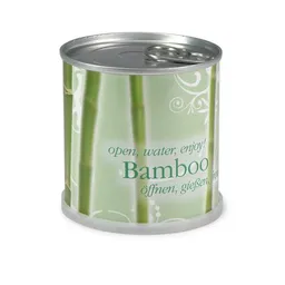 MacFlowers MacFlowers Blumen in der Dose - Bambus - Bamboo – Produktbild 1 von 1