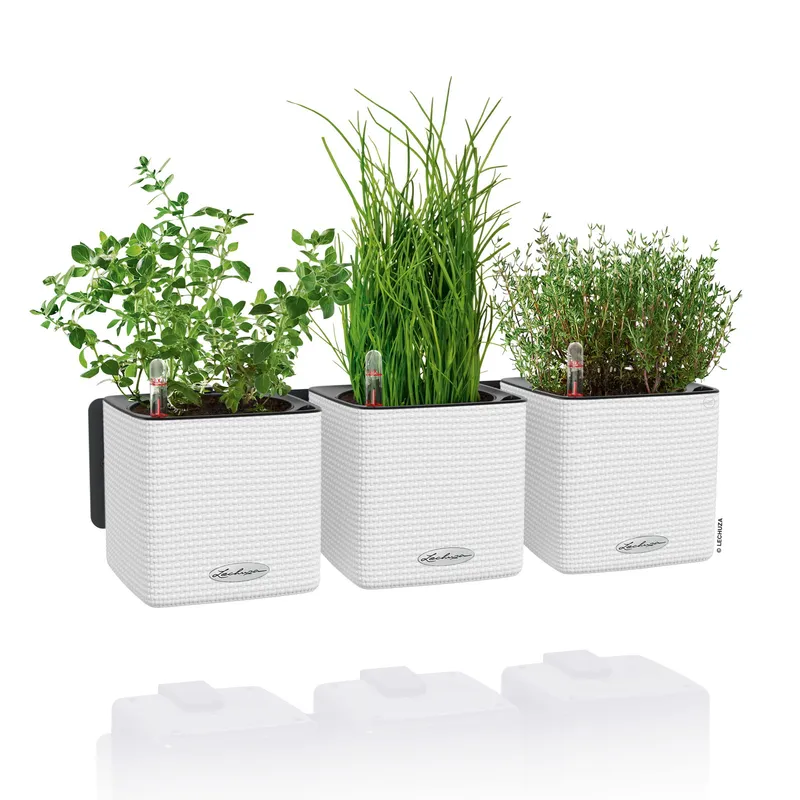 Lechuza® Lechuza® 'Green Wall Home Kit Color', weiß, ca. 48 x 15 x H 14 cm, Weiß, – Produktbild 1 von 1