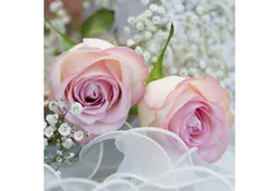 ti-flair Papierserviette, Servietten Papier 33x33cm 3lag. zarte Rosen mit Schleierkraut 20 Stück – Produktbild 1 von 1