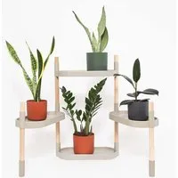CitySens CitySens Blumenregal mit 4 Ablagen und luftreinigenden Pflanzen., Gris, – Produktbild 1 von 1