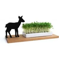 Side by Side Side by Side KRESSESCHALE - Smart´n´Green - Reh – Produktbild 1 von 1
