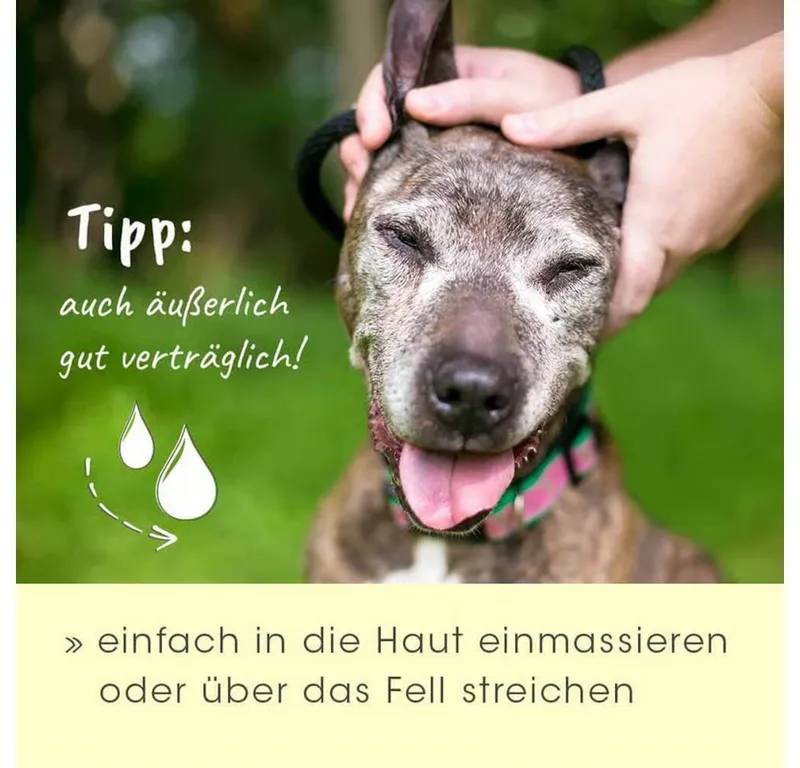 cdVet cdVet Bio Kokos Schwarzkümmel Öl – Produktbild 4 von 7