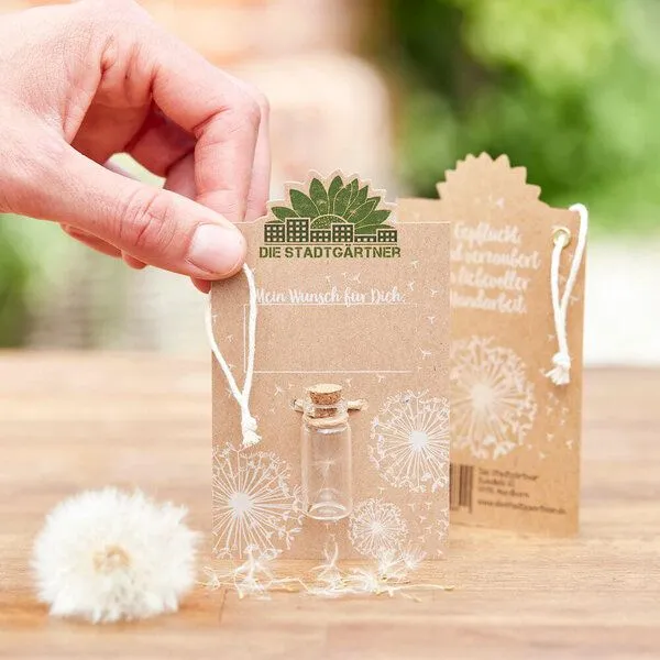 Die Stadtgärtner Die Stadtgärtner Kleiner Wunscherfüller I Echtes Pusteblumen-Schirmchen im Glas – Produktbild 3 von 4