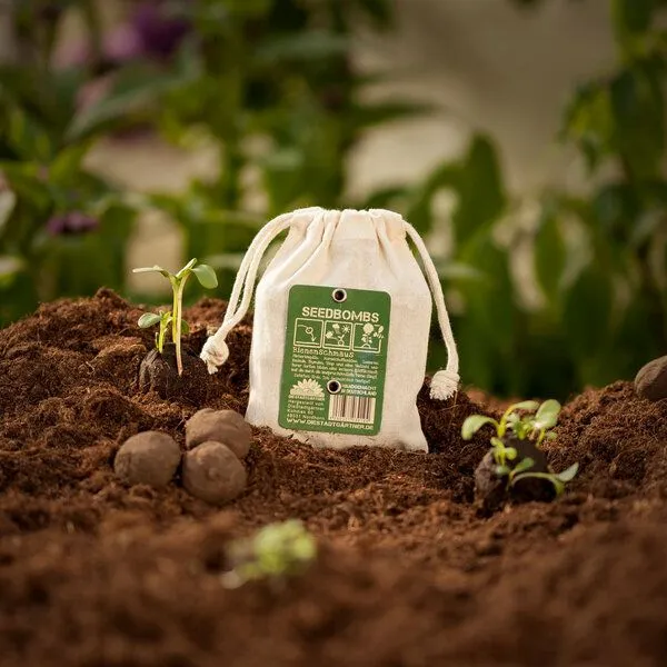 Die Stadtgärtner Die Stadtgärtner 8 Seedbombs "Bienenschmaus" im Mini-Jutebeutel – Produktbild 3 von 4