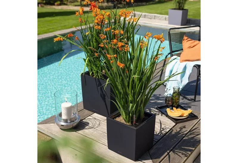 Lechuza® Lechuza® Blumentopf CUBE Color 40, Weiß, – Produktbild 4 von 5