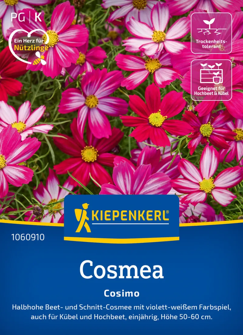 Kiepenkerl Kiepenkerl Cosmos Cosimo – Produktbild 1 von 1