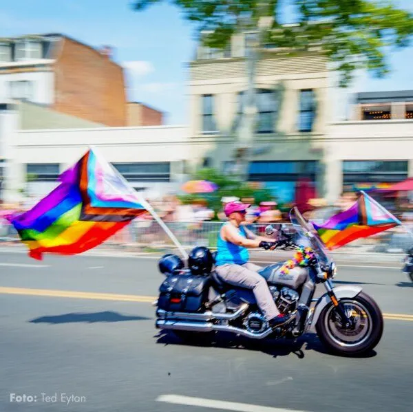 roots of compassion roots of compassion Fahne Progress Pride - Regenbogenfahne, Flagge, LGBTQA, queer – Produktbild 2 von 3