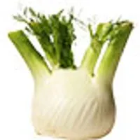 Deutschland Fenchel – Produktbild 1 von 1