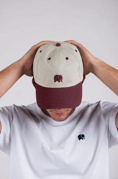 Trendsplant Trendsplant Logo Dad Cap Grana Ecru, Beige, – Produktbild 2 von 4