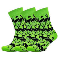BLS Organic BLS Organic 3er Pack GOTS zertifiziert 98 % Bio-Baumwolle Flamingo Muster – Produktbild 1 von 1