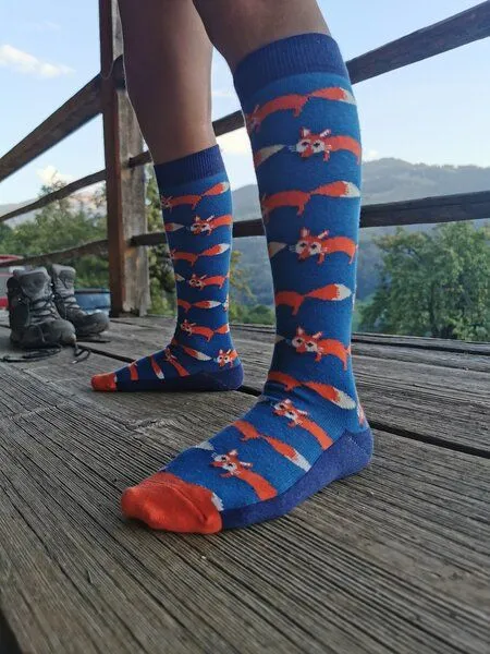 Fräulein Prusselise Fräulein Prusselise Kniestrümpfe Fuchs blau, bunt gemustert – Produktbild 2 von 3