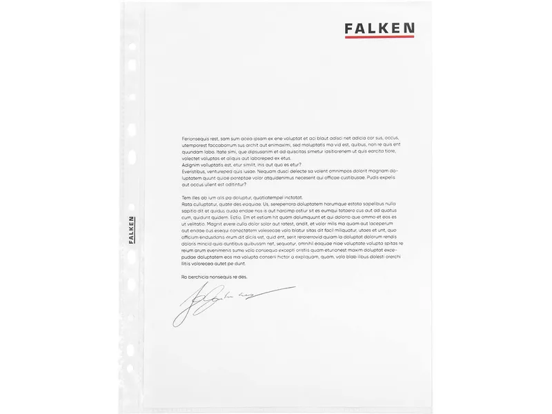 Falken FALKEN Prospekthüllen glatt, DIN A4, 60µ, 100 Stk. – Produktbild 1 von 1