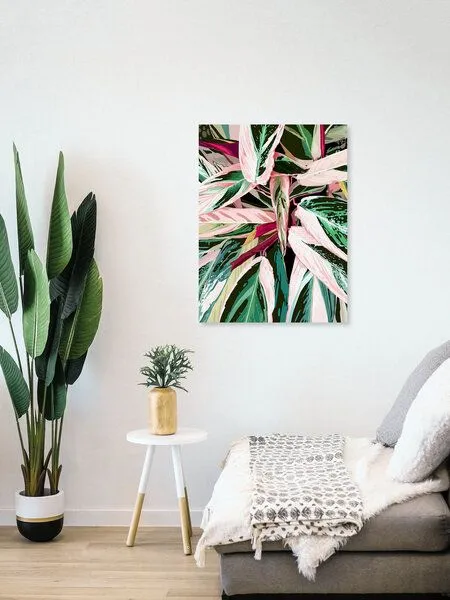 Photocircle Photocircle Poster / Leinwandbild - Tropical Variegated Houseplant – Produktbild 4 von 4
