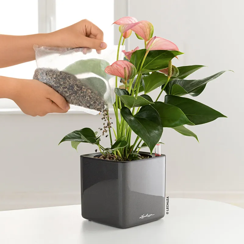 Lechuza® Lechuza® 'Cube Glossy 14', anthrazit, ca. 14 x 14 x H 13,5 cm, Grau, – Produktbild 1 von 1