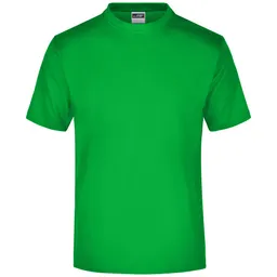 James & Nicholson James & Nicholson Komfort-T-Shirt aus Single-Jersey Herren JN001 Gr. XL fern-green – Produktbild 1 von 1