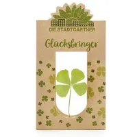 Die Stadtgärtner Die Stadtgärtner Glücksbringer I Echtes vierblättriges Kleeblatt als Talisman-Geschenk – Produktbild 1 von 1