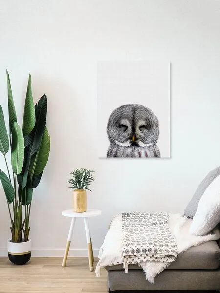 Photocircle Photocircle Poster / Leinwandbild - Owl – Produktbild 4 von 8