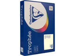 Clairefontaine 500 Blatt Clairfontaine Farbiges Kopierpapier "Trophee" 80 g/m², DIN A4, sand – Produktbild 1 von 1