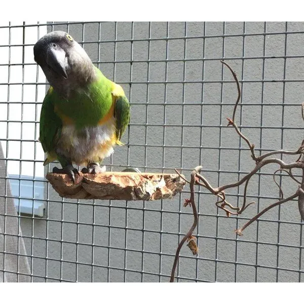 Kork-Deko Kork-Deko 3er Set Vogel-Sitzbrettchen aus Naturkork-Rinde – Produktbild 3 von 6