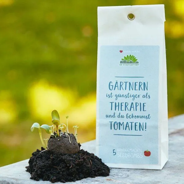 Die Stadtgärtner Die Stadtgärtner 20 Seedbombs I Set mit 4 Sorten Samenbomen | Min. 2 Jahre haltbar – Produktbild 3 von 4