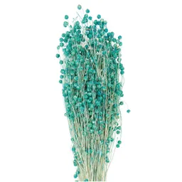 Rico Design Rico Design Getrockneter Flachs türkis 60-75cm 100g – Produktbild 1 von 1