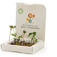 Die Stadtgärtner Die Stadtgärtner Pflanzkästchen mit Wildblumen-Saatgut & Anzuchtmatte | Set zum Selberpflanzen & Wachsen lassen | Kreative Geschenkidee für Kinder & Familien rund um Schule & Schulalltag – Produktbild 1 von 1