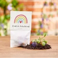 Die Stadtgärtner Die Stadtgärtner 5 bunte Blumenmurmeln im Tütchen mit Wildblumensaatgut | Geschenkidee zur Einschulung, Schulanfang, für Schultüte | "Endlich Schulkind!" – Produktbild 1 von 1