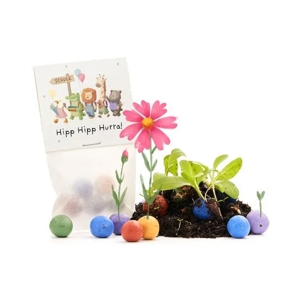 Die Stadtgärtner Die Stadtgärtner 5 bunte Blumenmurmeln im Tütchen mit Wildblumensaatgut | Geschenkidee zur Einschulung, Schulanfang, für Schultüte | "Hipp Hipp Hurra!" – Produktbild 2 von 4
