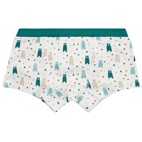 Jungen Boxershorts Doppelpack, Bären Jungen Boxershorts Doppelpack, Bären, Blau, – Produktbild 2 von 4