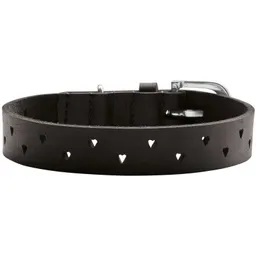 Hunter Hunter Halsband Aalborg Soul schwarz 40 cm – Produktbild 1 von 1