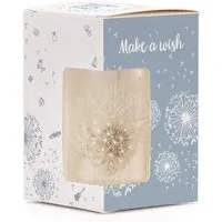 Die Stadtgärtner Die Stadtgärtner Wunscherfüller – Geld kreativ verpacken I Geschenkidee für Mama, Frau, Freundin zu Weihnachten und Geburtstag, Blau, – Produktbild 1 von 1